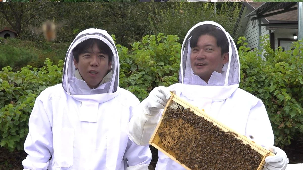 MBC ‘구해줘! 홈즈’
