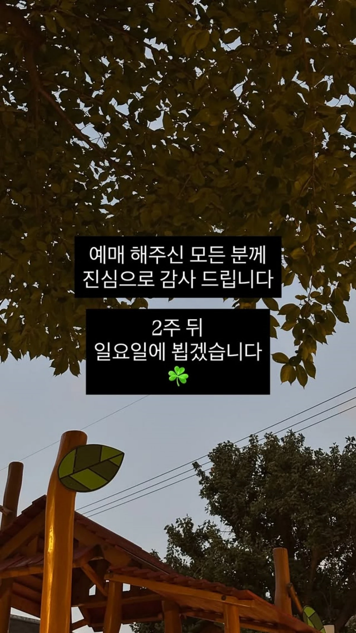 윤딴딴