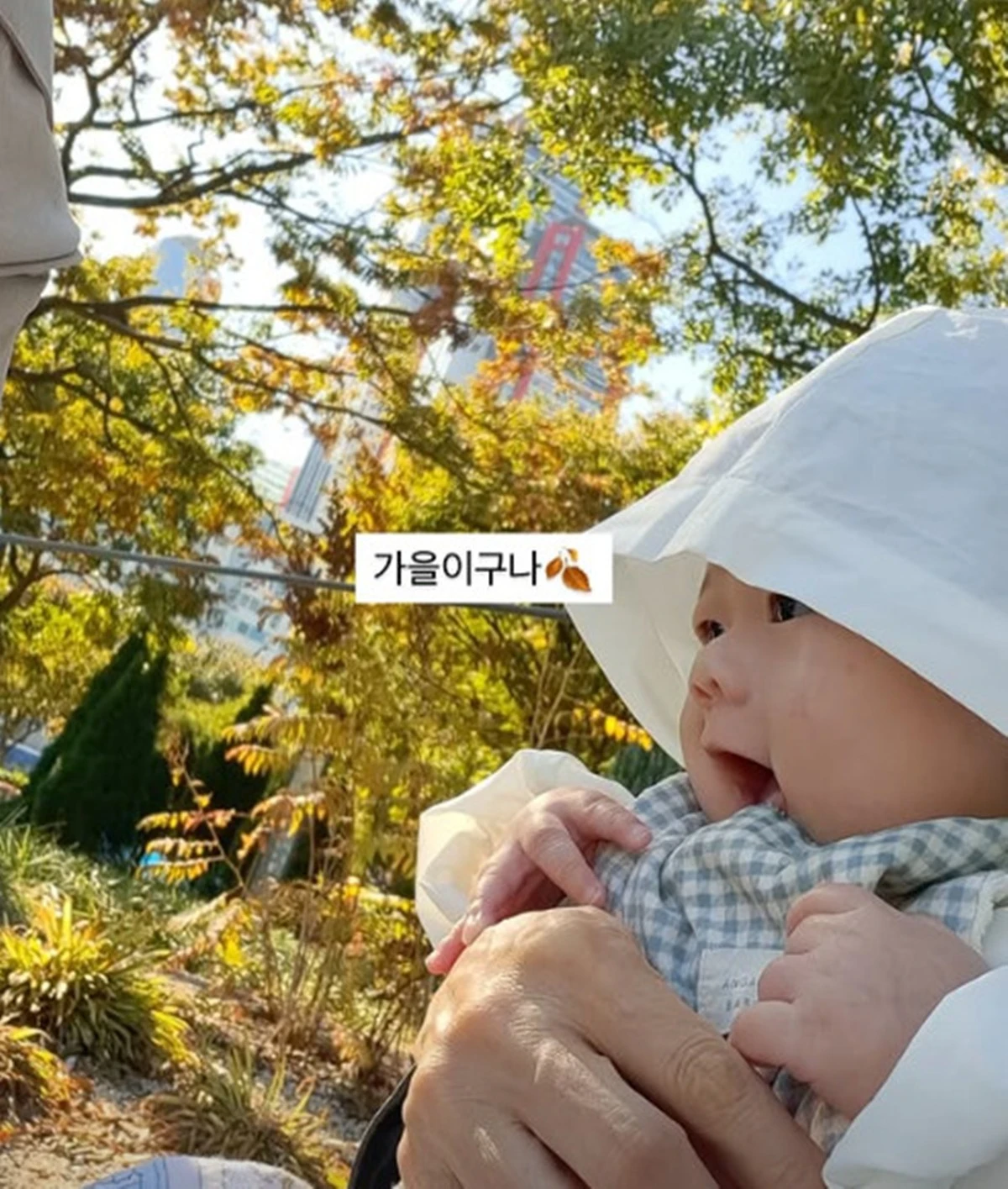 남보라