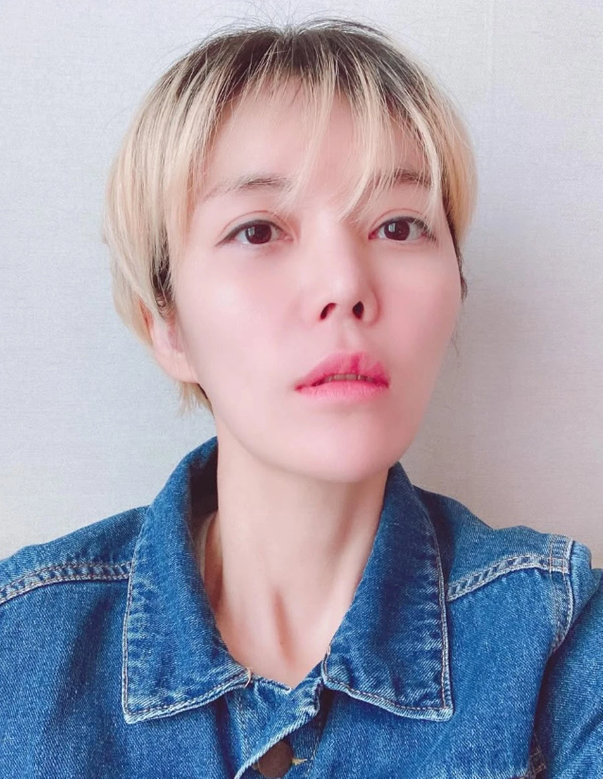 로맨틱멜로디초비