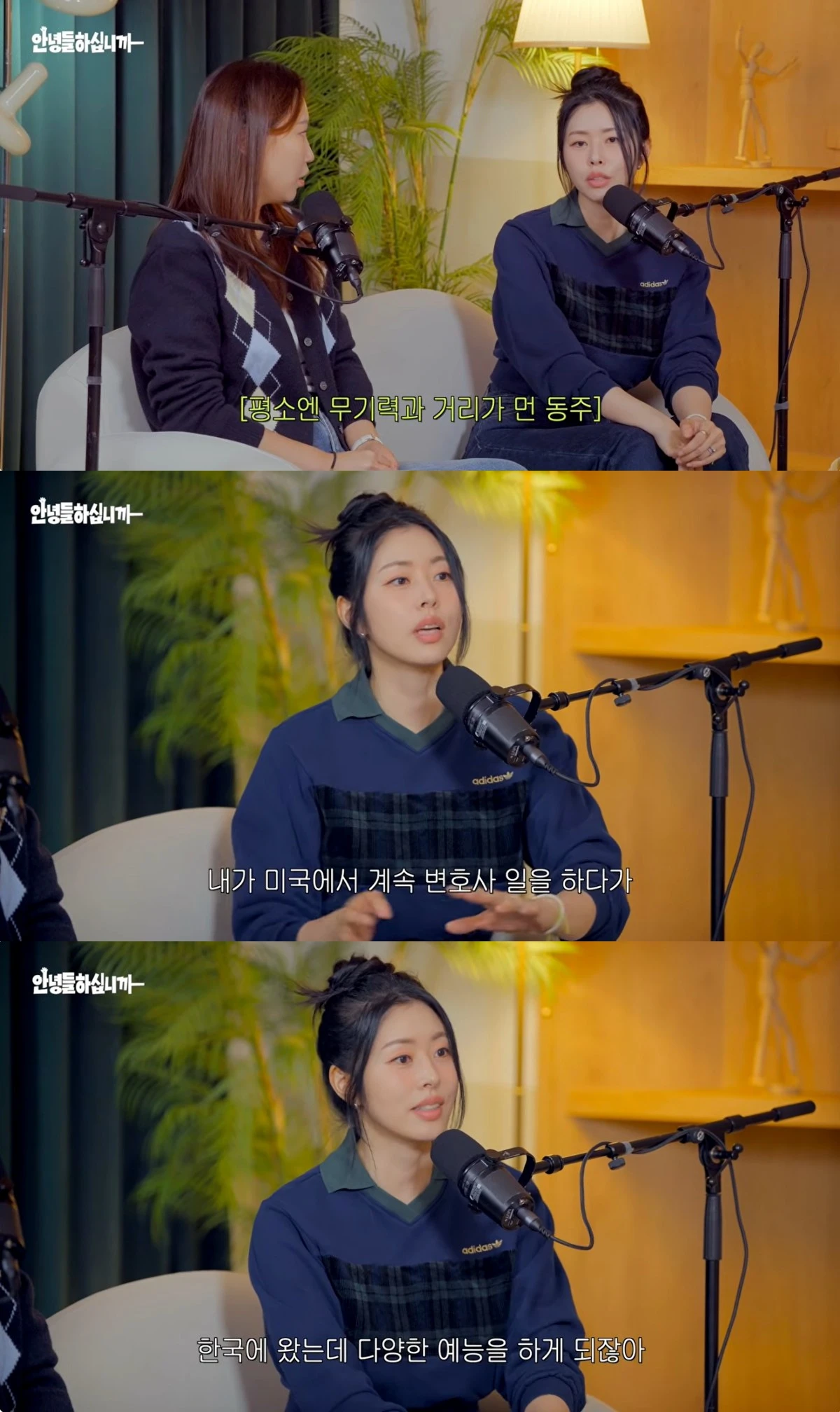 '안녕들하십니까' 유튜브 캡처