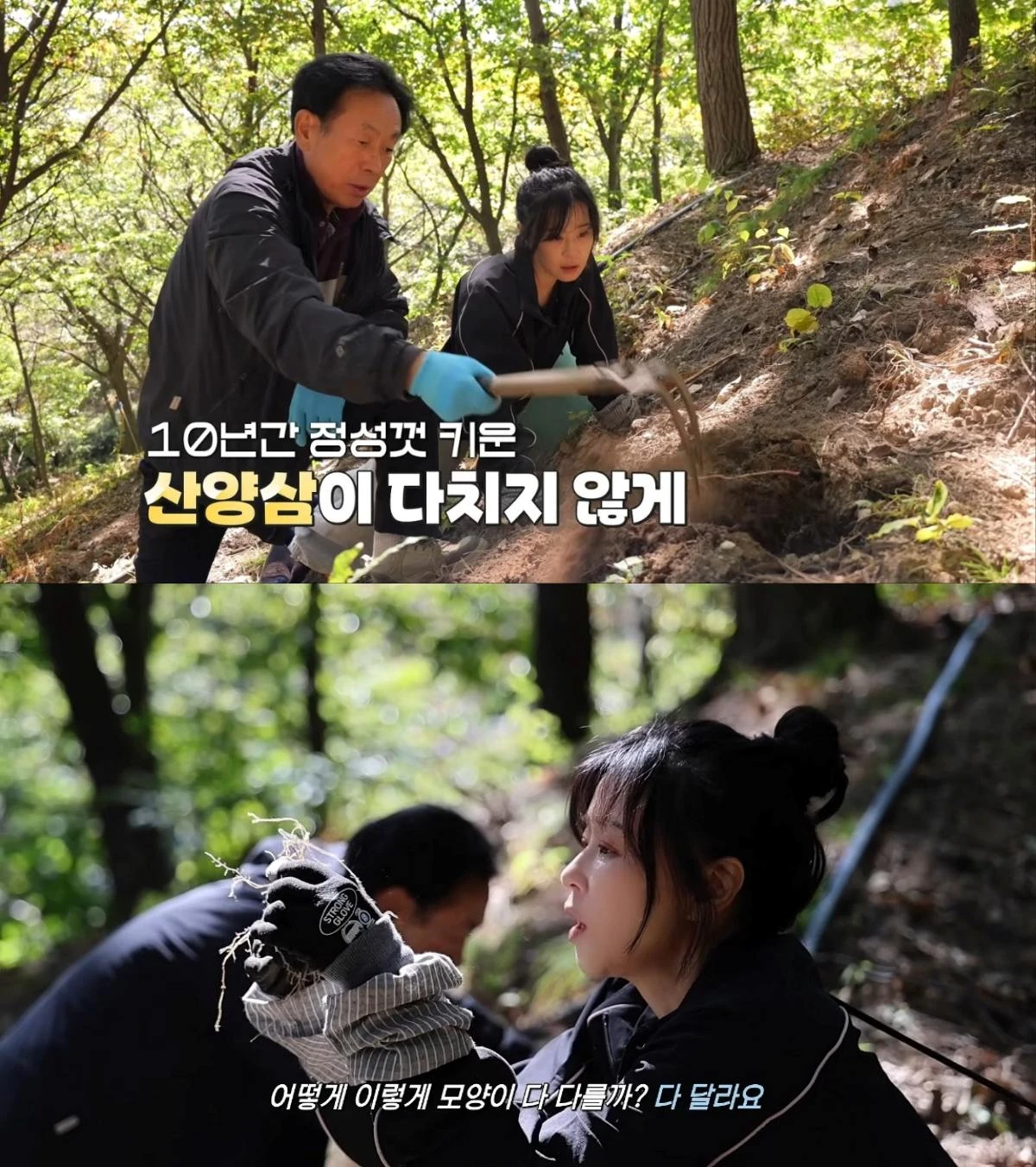 배우 최강희 유튜브 영상 캡처