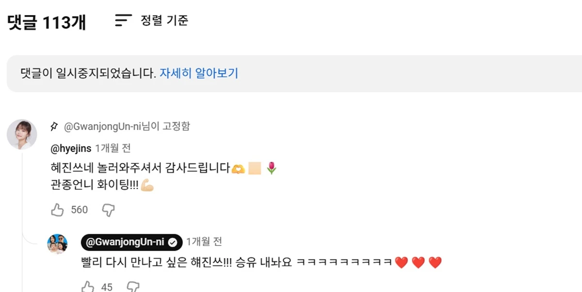 유튜브 '밉지않은 관종언니' 헤이지니 유튜브 영상 댓글란