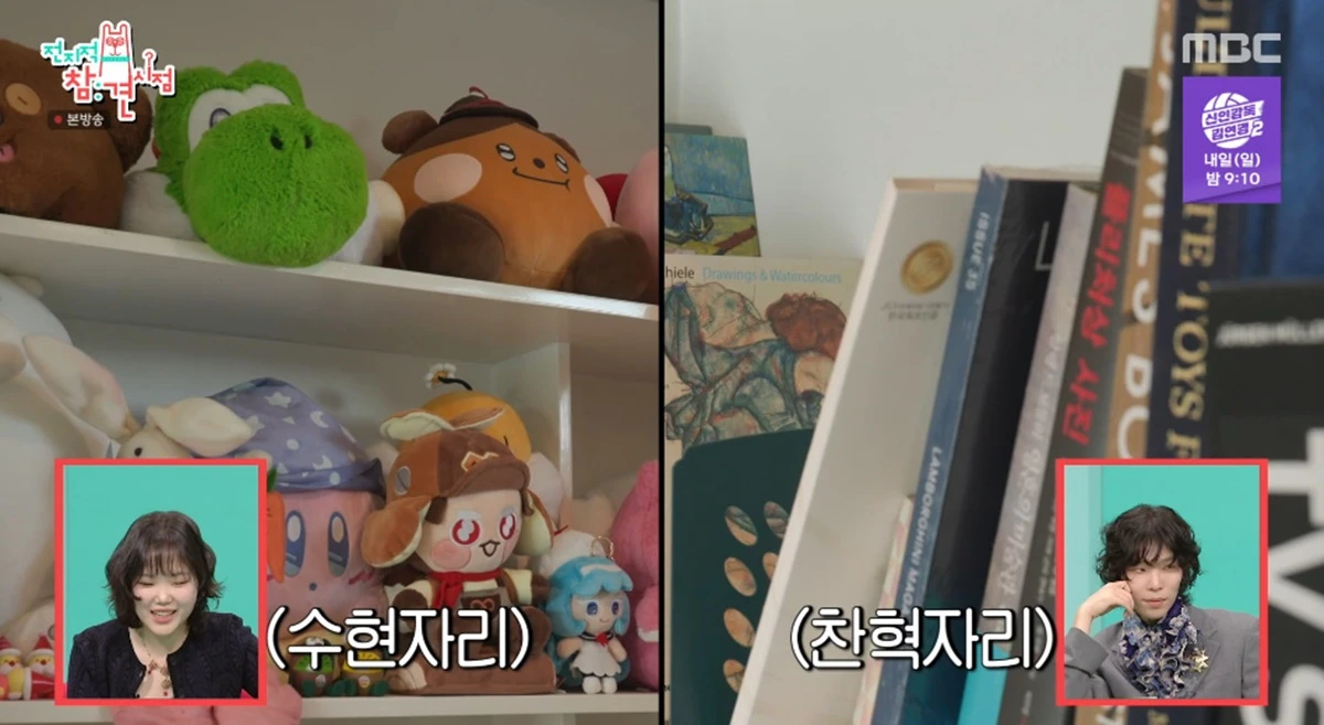 MBC '전지적 참견 시점'